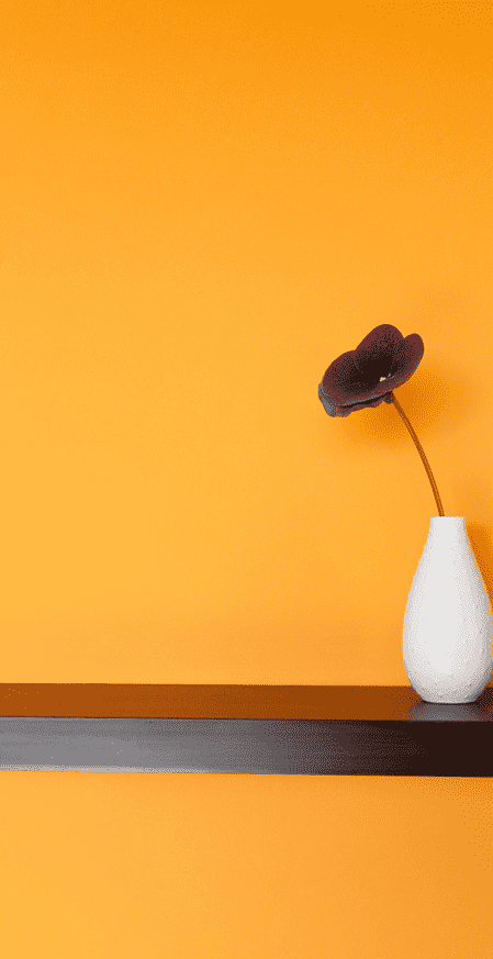 flower in vase and yellow wall background
